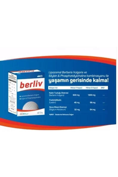 NBT İLAÇ NBT Life Berliv Lipozamal Berberin 60 Kapsül ürün görseli 1