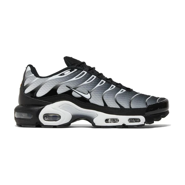Air Max Plus Black Metallic Silver - 1
