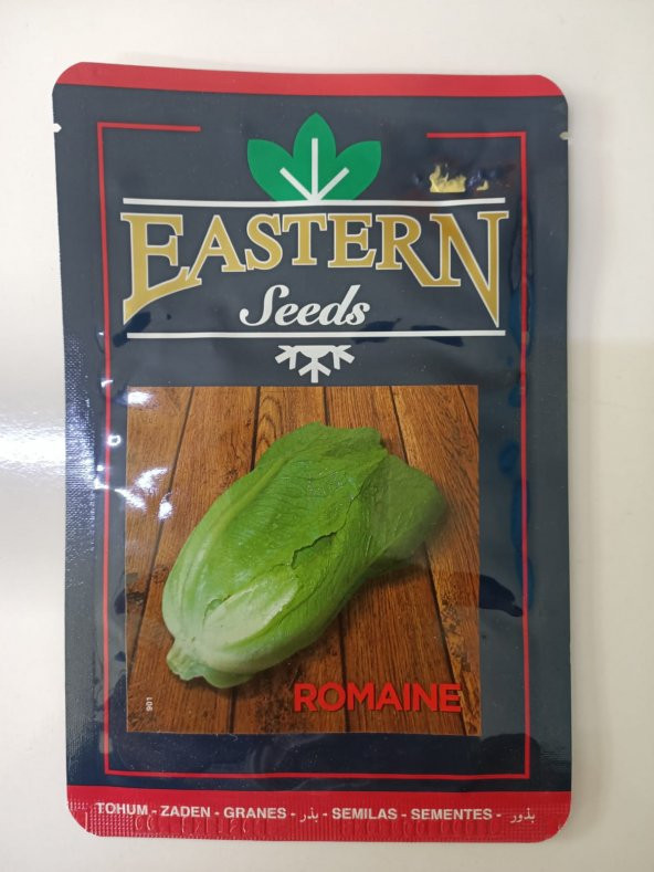 ROMAINE İRİ MARUL TOHUMU