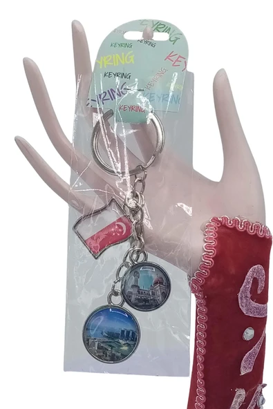 Singapur Üçlü Epoksi Metal Çift Taraflı Damla Anahtarlık Singapore - Resim 5