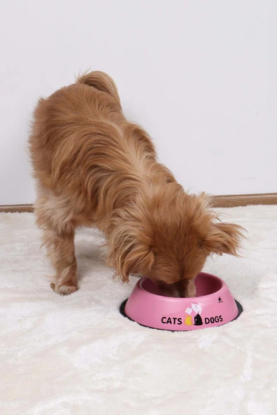 RENKli Metal Mama Kabı, Kedi Köpek Mama Su Kabı 16 cm - 11