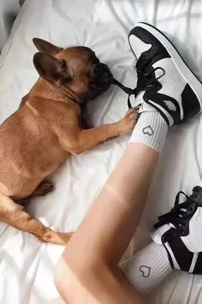 Hitit Socks Kadın 6 Çift Premium Kalite Kalp Detaylı Tenis Çorap Siyah Beyaz Gri - Resim 4