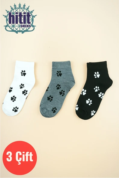 Hitit Socks Unisex 3 Çift Premium Kalite Pati Desenli Patik Çorap Çok Renkli