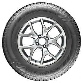 205/75R16C 113/111R 10PR WINTUS 2 M+S / SFM LASSA - 2