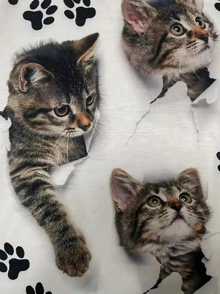 Kadın Kısa Kollu Kedi Ve Pati Baskılı Süprem T-shirt - Resim 5