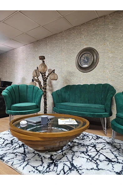 İstiridye Takım Krom Kaplama Telli Ayak Çay Seti Koltuk Takımı Yeşil Renk 110 x 48 Boyut/Ebat - Resim 4