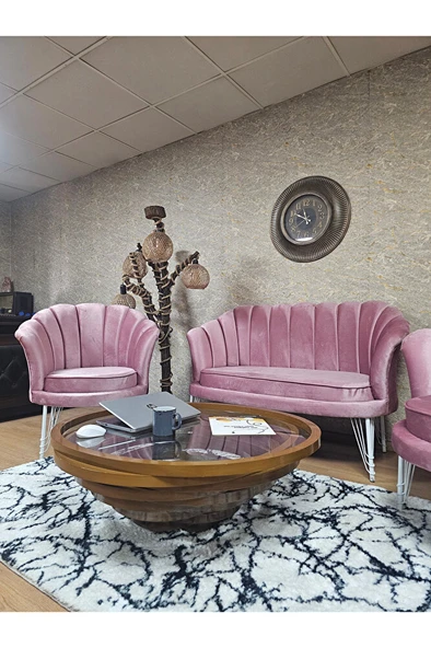 İstiridye Takım Beyaz Boyalı Telli Ayak Çay Seti Koltuk Takımı Pembe Renk 110 x 48 Boyut/Ebat - Resim 4