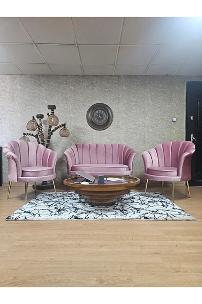 İstiridye Takım Gold Kaplama Sivriltme Ayak Çay Seti Koltuk Takımı Pembe Renk 110 x 48 Boyut/Ebat ürün görseli 1