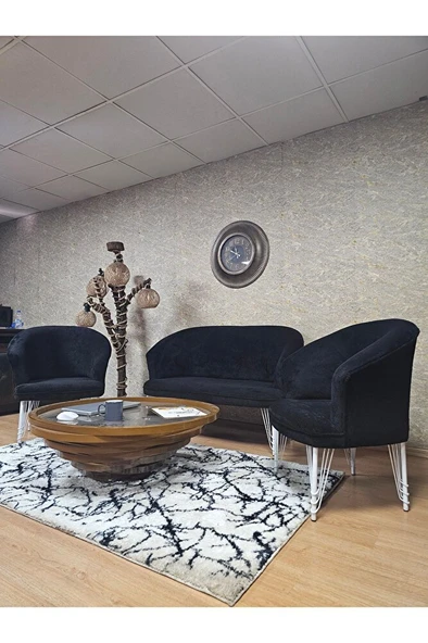 TEDDY Takım Beyaz Boyalı Telli Ayak Çay Seti Koltuk - Berjer , Balkon, Salon, Ofis Siyah Renk 40 x 125 Boyut/Ebat - Resim 4