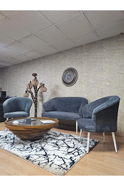 TEDDY Takım Beyaz Boyalı Sivriltme Ayak Çay Seti Koltuk - Berjer , Balkon, Salon, Ofis Füme Renk 40 x 125 Boyut/Ebat - Resim 4