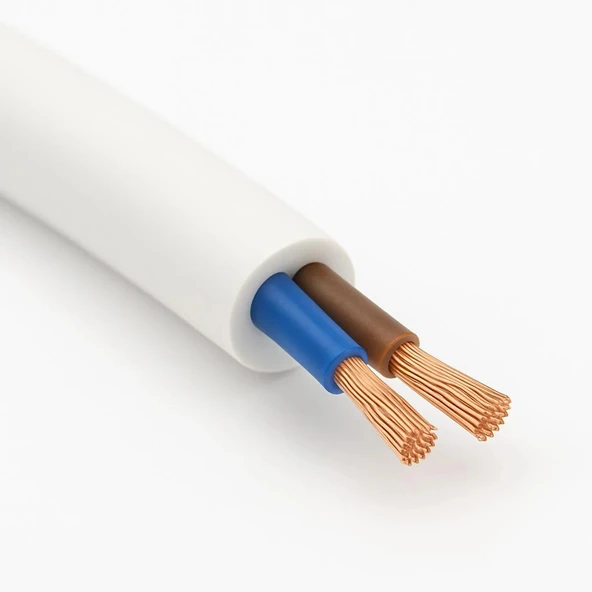 Aydınlatma Elektrik Kablosu (2x0,50 TTR Yuvarlak Tip) (Tam Bakır) Beyaz 3 Metre - 2