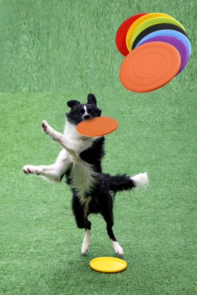 TİNEKE  Dayanıklı Silikon Frizbi Köpek Oyuncağı Esnek ve Güvenli Yakalama Oyunu Diski  17.5 cm 1 ADET