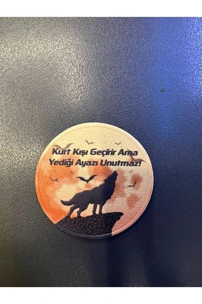 ''Kurt Kışı Geçirir Ama Yediği Ayazı Unutmaz" Yazılı Patch 7 CM 3d Plastik, 2025 Yeni Tip, Cırtlı, ürün görseli