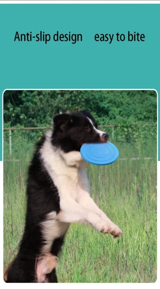 TİNEKE  Dayanıklı Silikon Frizbi Köpek Oyuncağı Esnek ve Güvenli Yakalama Oyunu Diski  17.5 cm 1 ADET - 3