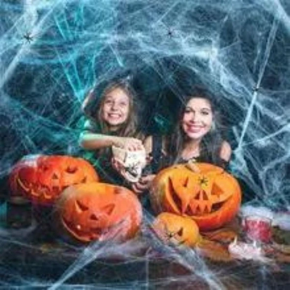 Parti Sürprizi Hallowen Cadılar Bayramı Beyaz Renk Örümcek Ağı - 2