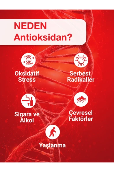 HANGOVERSHOT Antioxshot, Bitkisel Antioksidan Kompleks, Likit Antiox Shot, Resveratrol 14'lü - Resim 4