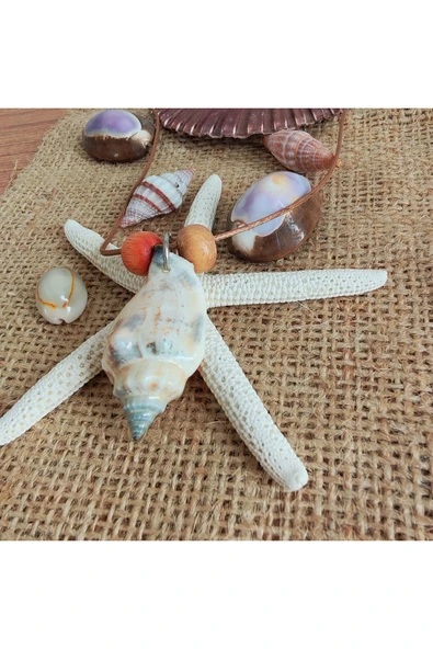 AtaRoots Deniz Kabuğu Kolye - 12447 - Resim 3