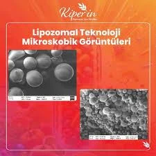 Kiperin Multivitamin Lipozomal 30 Kapsül - Resim 3