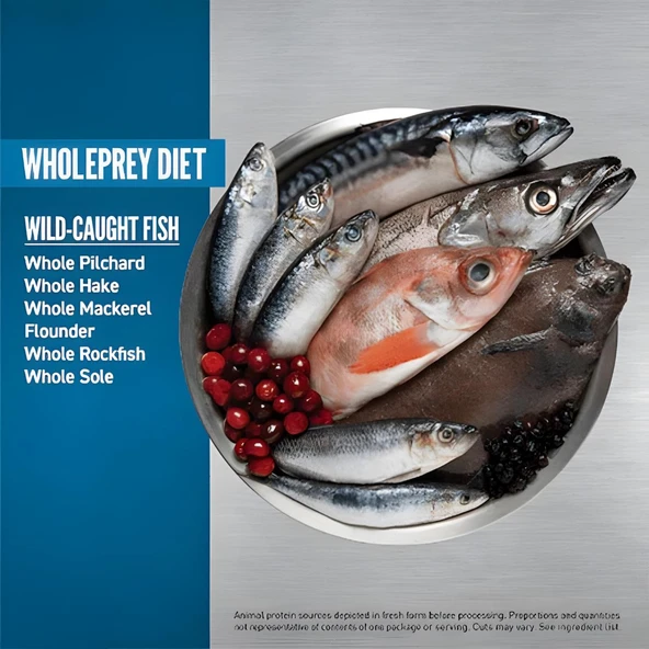 Orijen Six Fish Balıklı Yetişkin Kedi Maması 1,8 Kg - Resim 3