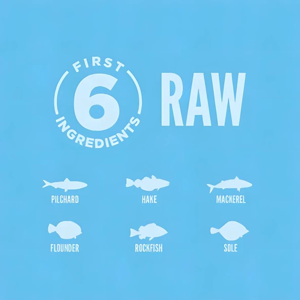 Orijen Six Fish Balıklı Yetişkin Kedi Maması 1,8 Kg - Resim 4