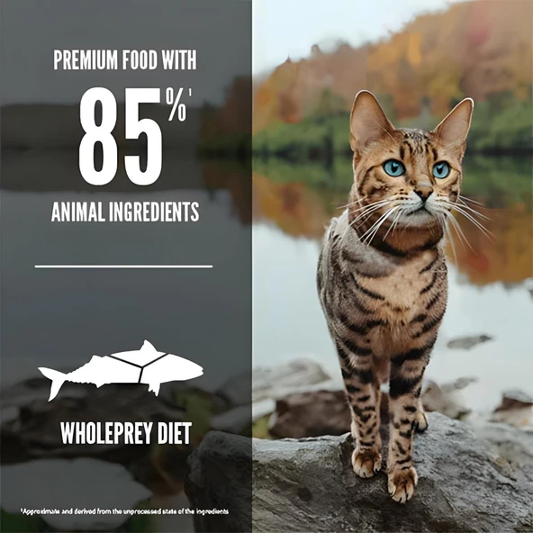 Orijen Six Fish Balıklı Yetişkin Kedi Maması 1,8 Kg - Resim 2