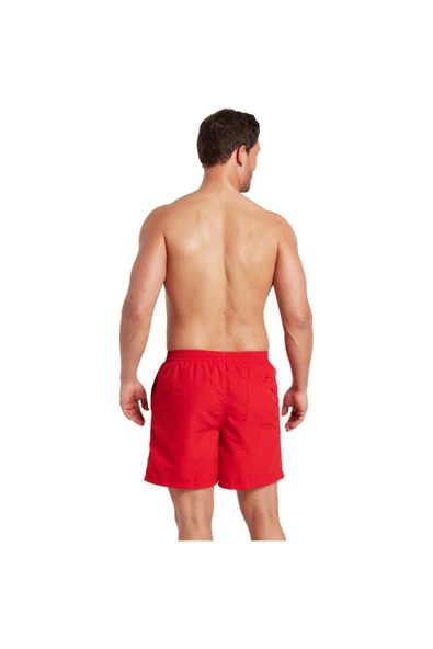 Zoggs Penrith 17'' ED Erkek Şort - Resim 2