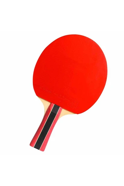 Cornilleau Sport 300 Ittf Onaylı Masa Tenisi Raketi - 2