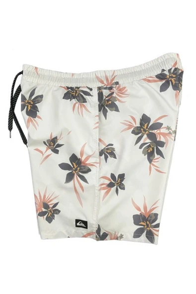 Quiksilver Everyday Mix 17 Erkek Yüzme Deniz Şortu EQYJV04002 - Resim 3