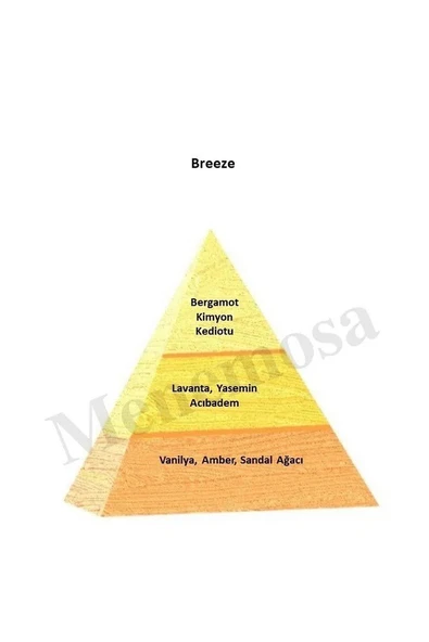 Breeze + Breeze  Erkek Parfüm Edp Oriental- mnmsbrz2 - Resim 2