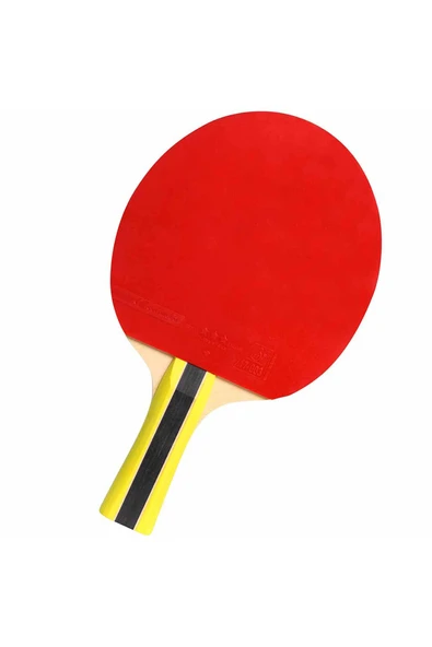 Cornilleau Sport 400 Ittf Onaylı Masa Tenisi Raketi - Resim 2