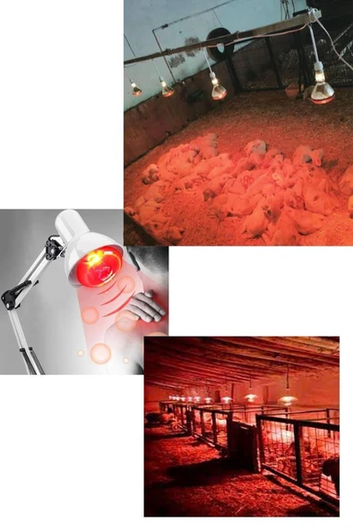 Şavk 150W Kırmızı Infrared Ampul E27 Kümes Isıtıcı Lamba - 6