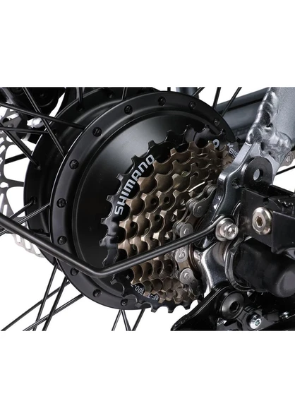 Ape Ryder A10 Iki Kişilik Elektrikli Bisiklet - Resim 3