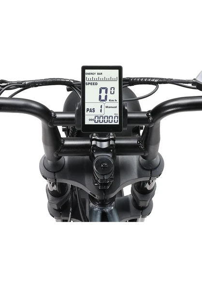 Ape Ryder A10 Iki Kişilik Elektrikli Bisiklet - Resim 5