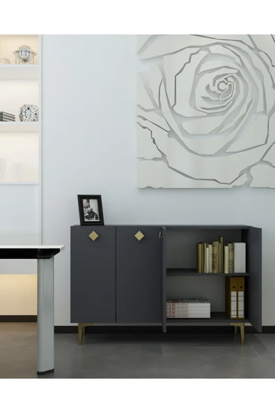 DEMONTE DECOR MOREDD OFİS EVRAK DOLABI ANTRASİT-ANTRASİT-ALTIN - 1