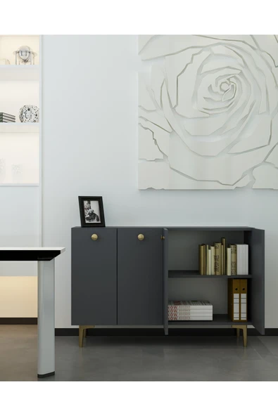 DEMONTE DECOR BETTYDD OFİS EVRAK DOLABI ANTRASİT-ANTRASİT-ALTIN - 1