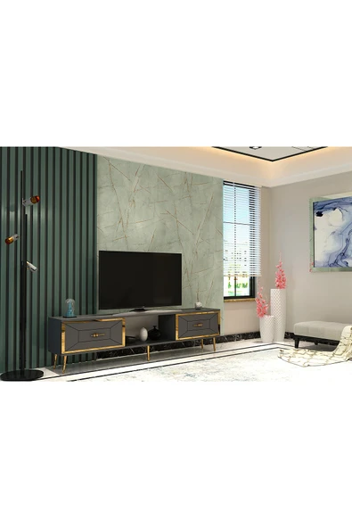 DEMONTE DECOR ARNODD TV SEHPASI ANTRASİT-ALTIN - Resim 2