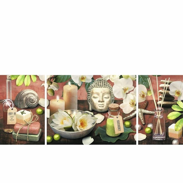 PARAPLY 194988 Ravensburger Bahçıvan Dolabı 1000 Parça Puzzle Kız Erkek Çocuk Oyuncak Eğitici Oyuncaklar - Resim 2