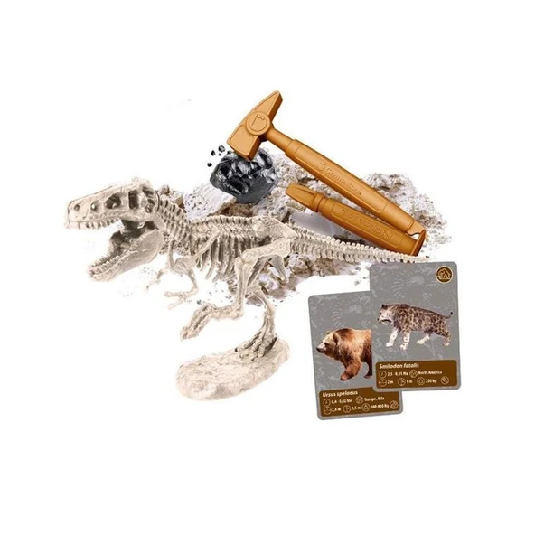 PARAPLY 64839 Bilim ve Oyun - Dünyadaki Yaşamın Tarihi Kız Erkek Çocuk Oyuncak Eğitici Oyuncaklar - Resim 2