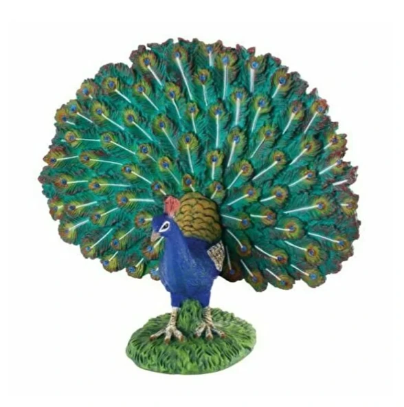 PARAPLY Kutulu Model Tavuskuşu Kız Erkek Çocuk Oyuncak Eğitici Oyuncaklar ürün görseli