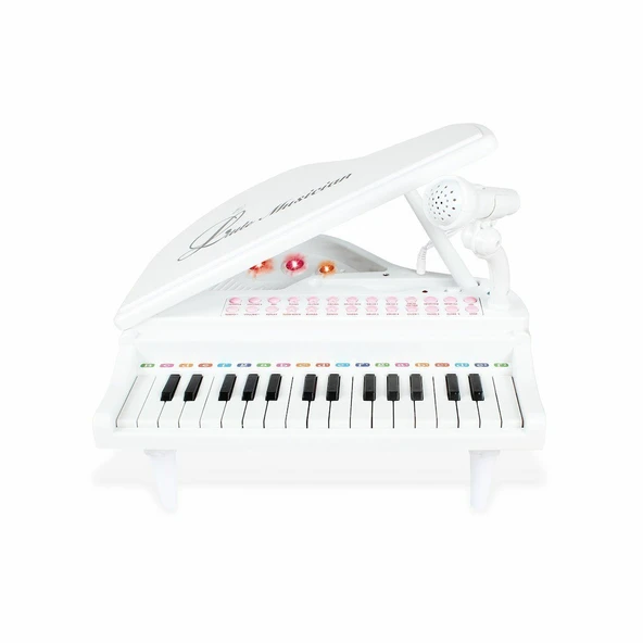 ZeycanHome BAO-1504B 31 Tuşlu Mini Piano MP3 Kız Erkek Çocuk Oyuncak Eğitici Oyuncaklar ürün görseli 1