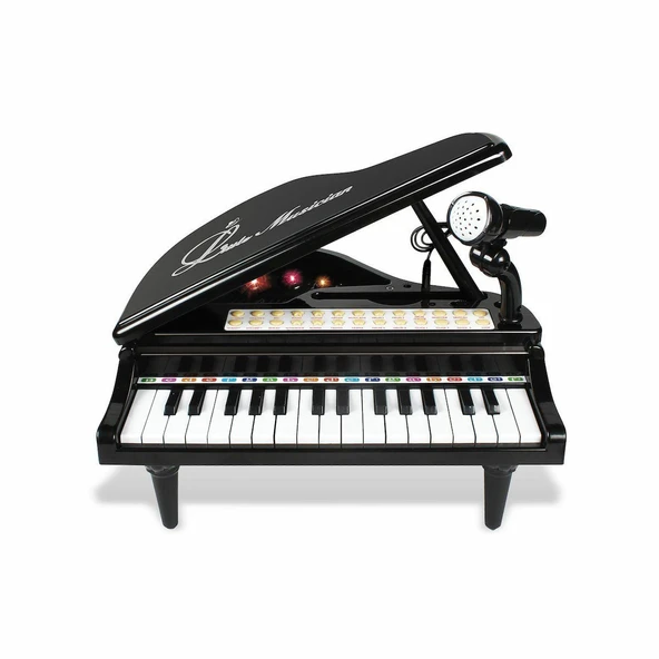 ZeycanHome BAO-1504B 31 Tuşlu Mini Piano MP3 Kız Erkek Çocuk Oyuncak Eğitici Oyuncaklar - Resim 3