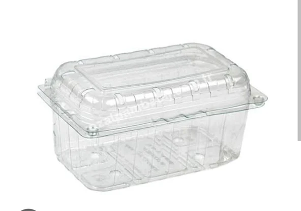 500 ml Kapaklı Şeffaf Şale Meyve Kabı 10 adet – Gıda Dostu, Dayanıklı, Taşınabilir Kap ürün görseli