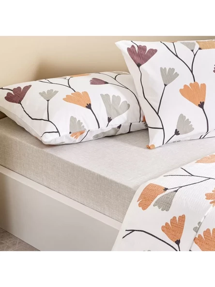 TAÇ LASSİE PİKE TAKIMI KAHVERENGİ TEK KİŞİLİK - Resim 2