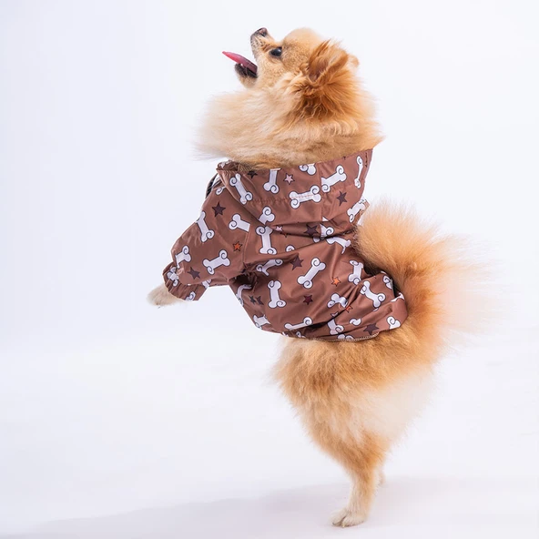 Pawstar StellaOs Fileli Su Geçirmez Küçük Irk Köpek Yağmurluğu ürün görseli