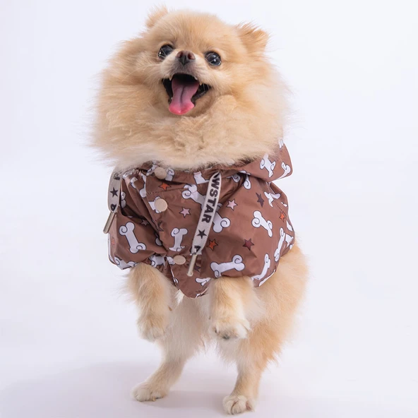 Pawstar StellaOs Fileli Su Geçirmez Küçük Irk Köpek Yağmurluğu - Resim 2