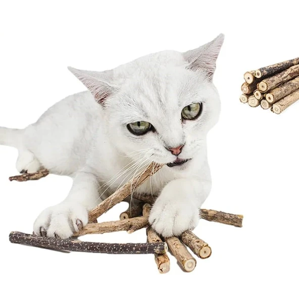 TİNEKE  Doğal Matatabi Kedi Çiğneme Çubuğu   5  Adet  15 mm Kalın ürün görseli