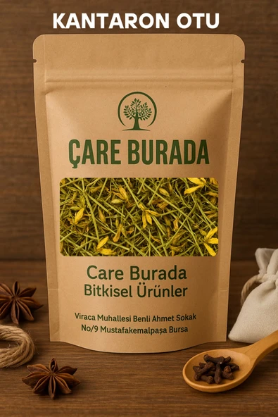 Kantaron Otu 100 Gr ürün görseli