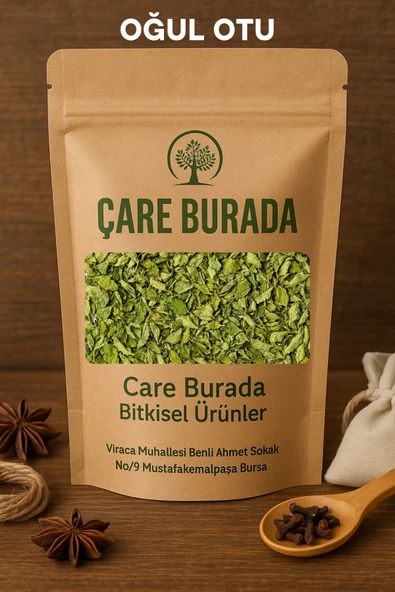 Kuru Oğul Otu 100 Gr ürün görseli