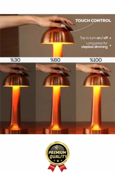 Özel Üretim Dokunmatik Şarjlı Dekoratif 3 Modlu 23 cm x 9 cm Modern Aç/Kapa Butonlu Led Masa Lambası - 4