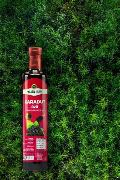 Mesir-i Şifa Karadut Özü 700 gr - Resim 3